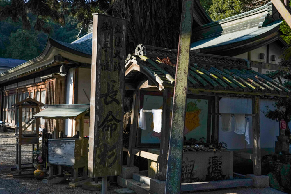 お遍路 第2番札所 極楽寺の長命杉