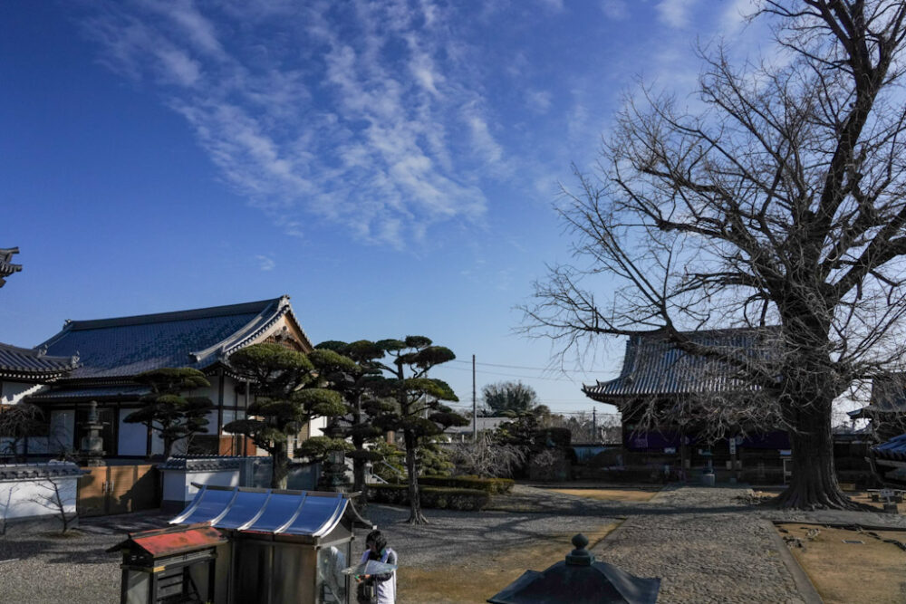 お遍路 第5番札所 地蔵寺 の本堂を背に大師堂を望む