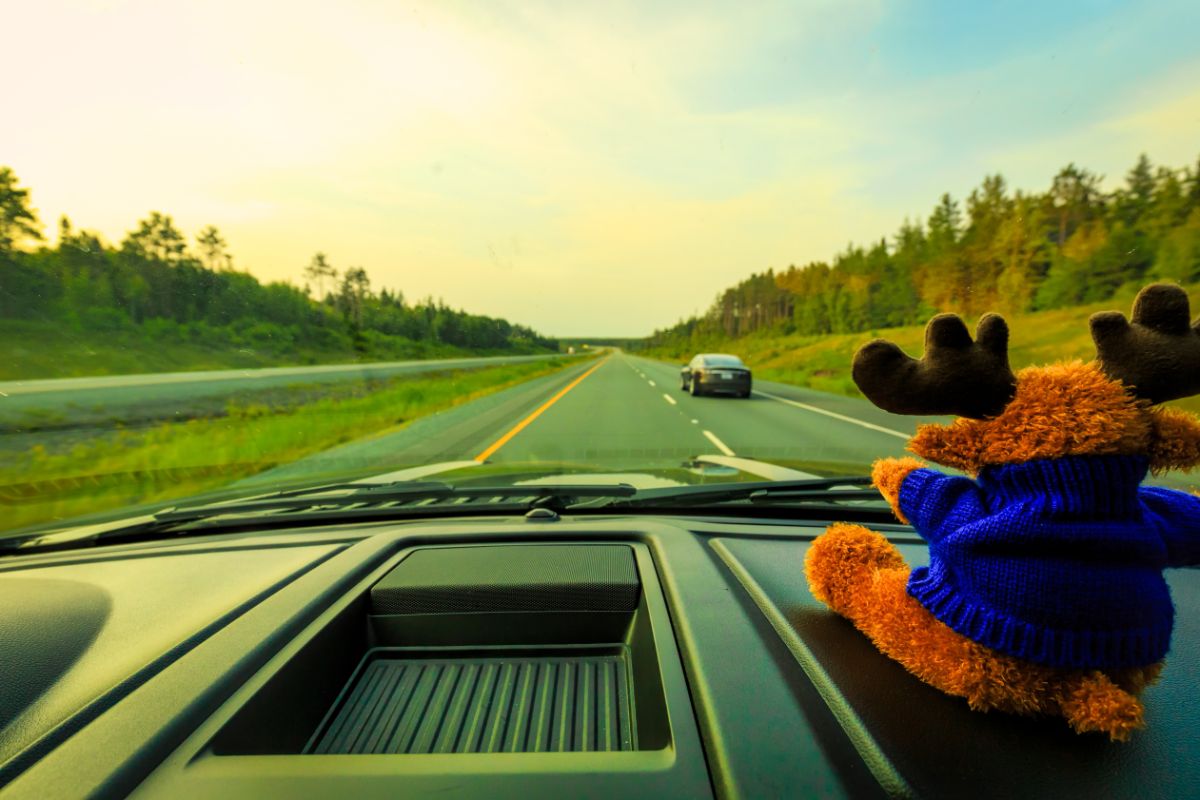 車のダッシュボードにぬいぐるみ フィギュア これって違反になるの Moby モビー