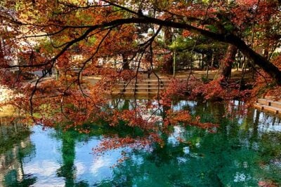 日本一周した私が選ぶ｜2024年絶景紅葉スポット5選【車中泊・観光情報つき】