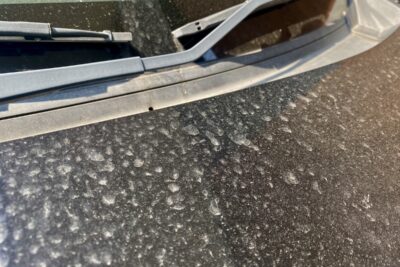 春の花粉・黄砂で車が傷む？塗装を守る正しい洗車方法とは