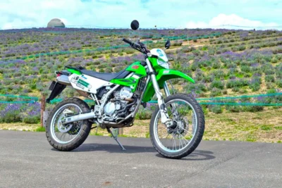 【札幌市】ラベンダーが咲き誇る！ローカルライダー人気スポット「頭大仏」