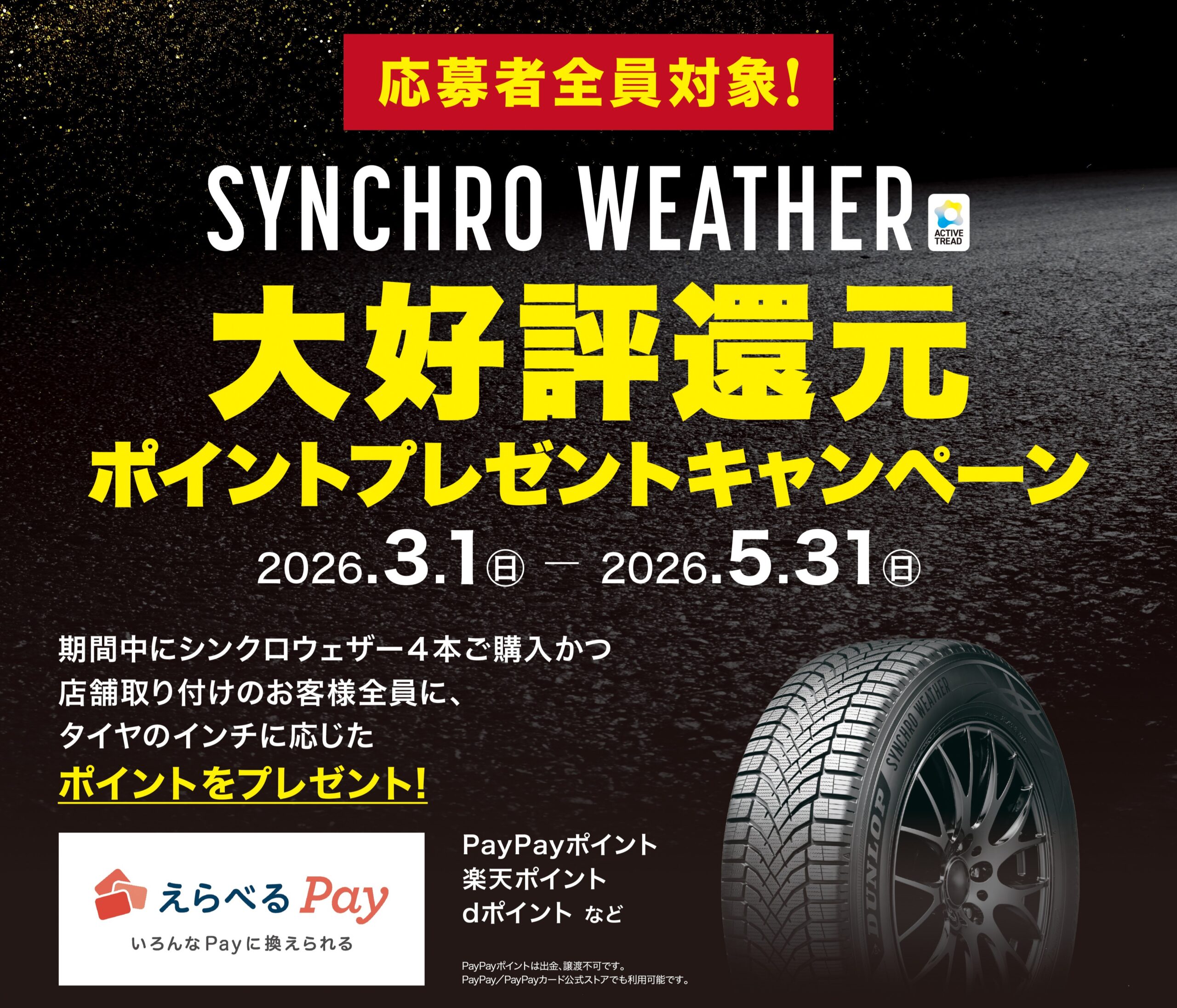ダンロップ「SYNCHRO WEATHER」購入でポイント還元！えらべるPay最大15,000円分進呈 | MOBY [モビー]