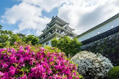 春の岐阜ツーリング！　桜と祭りの絶景スポット5選