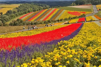 一度は走りたい！　北海道ツーリングでおすすめの絶景スポット5選
