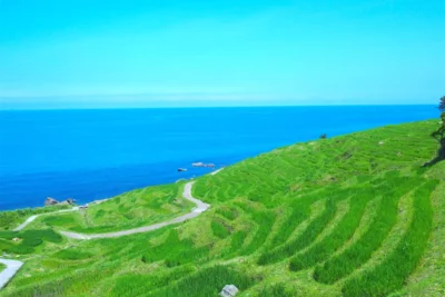 【北陸】ツーリングで立ち寄りたい道の駅おすすめ10選　絶景・海鮮・ご当地グルメを満喫