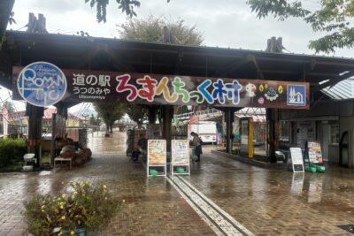 【栃木県】東京ドーム約10個分！「道の駅うつのみや ろまんちっく村」を満喫