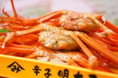 【全国版】ツーリングで立ち寄りたい海鮮グルメが自慢の道の駅10選｜海鮮丼・カニ・ご当地魚介を満喫