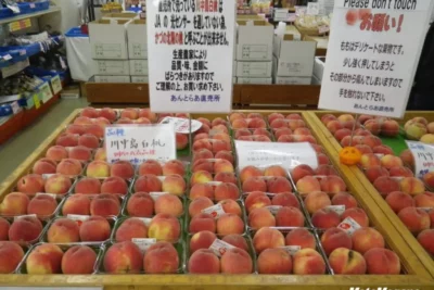 【秋田県】本場きりたんぽを堪能「道の駅 かづの」【バイクツーリング道の駅探訪】