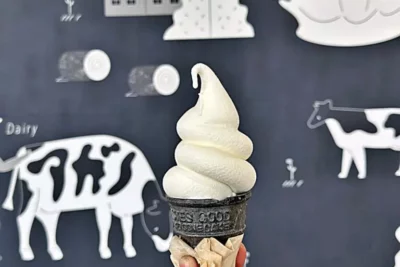 【中部・甲信越】ツーリングで食べたい道の駅ソフトクリーム10選｜濃厚ミルク・ご当地素材・個性派ソフトも紹介