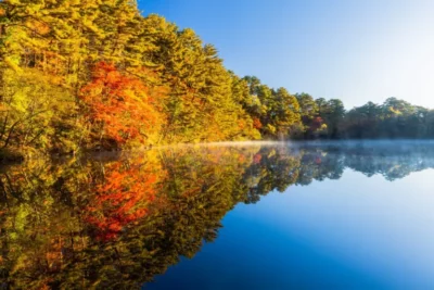 【全国版】紅葉ツーリングで立ち寄りたい道の駅10選｜秋の絶景とご当地グルメを満喫